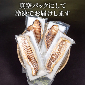 ブランド 真鯛 乙女鯛 タタキ 500g お刺身 加工 たたき 柵 マダイ 冷凍 たい タイ 高級魚 鮮魚 魚介 海鮮 産地直送 鯛 たたき 真鯛 たたき 鯛 タタキ 真鯛 タタキ 鯛たたき 真鯛たた