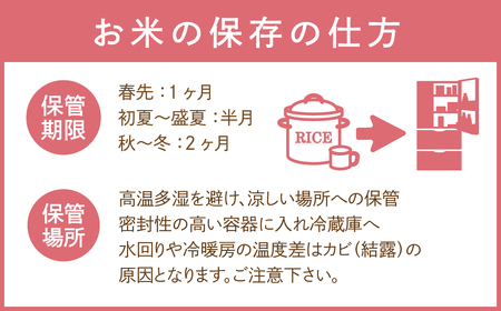 【令和5年産】定期便6回 田村市産 ひとめぼれ10kg お米 福島県 田村市 田村 贈答 美味しい 米 kome コメご飯  特Aランク  一等米 単一米 精米 国産 おすすめ お中元 送料無料  緊