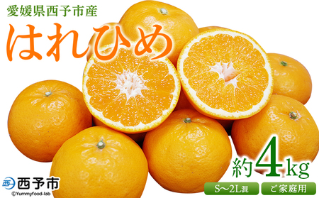 ＜愛媛県西予市産 はれひめ ご家庭用 約4kg＞ 訳あり ワケアリ 不揃い 果物 くだもの フルーツ みかん ミカン 蜜柑 柑橘 オレンジ おれんじ ハレヒメ 食べて応援 特産品 宇都宮物産 愛媛県 西予市【常温】『2026年1月上旬～2月上旬迄に順次出荷予定』UUB0058