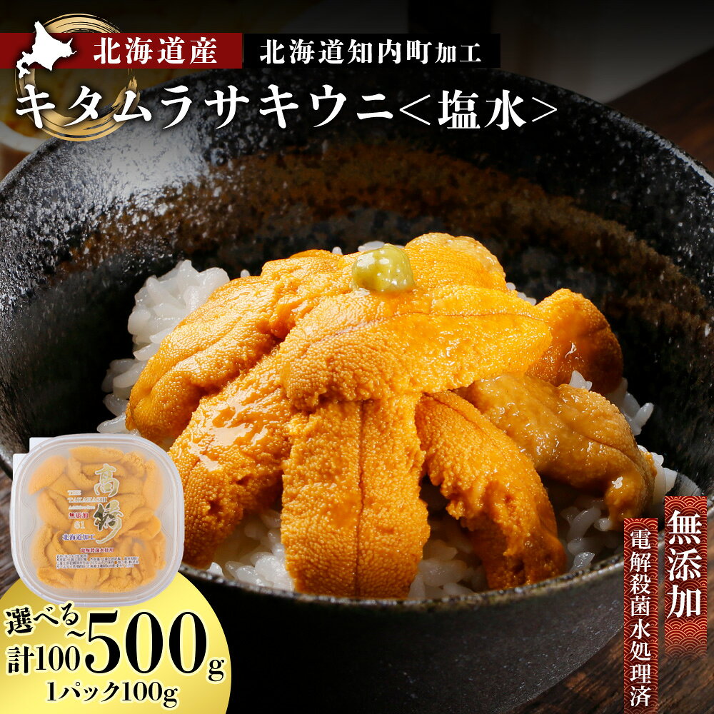 【ふるさと納税】うに ☆北海道産☆塩水キタムラサキウニ 選べる1パック〜5パック 1パック100g 【マルタカ高橋商店】知内町 ふるさと納税 北海道ふるさと納税 ウニ 北海道 ウニ うに 雲丹 むらさきうに 塩水 塩水ウニ