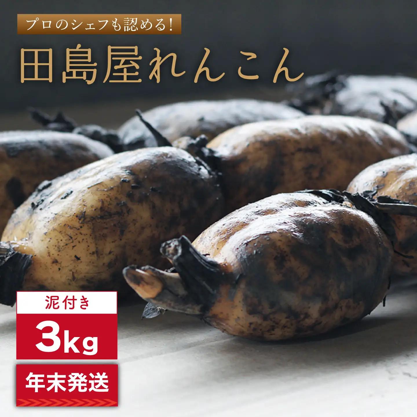 2026年末発送/年内発送 れんこん（泥付き） 3kg / 先行予約 れんこん [IAV003]