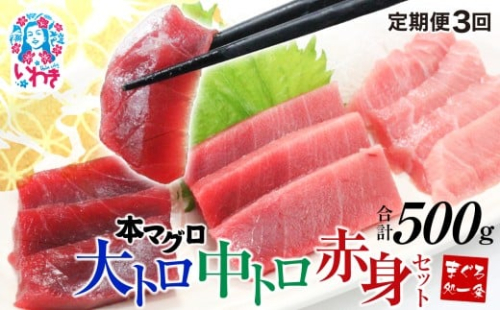 【定期便/隔月/計3回】本マグロ大トロ中トロ赤身セット500g（計1.5kg）|選べる 回数 定期便 解凍レシピ付 1サクずつ 真空包装 ｜ マグロ 鮪 まぐろ トロ 刺身 寿司