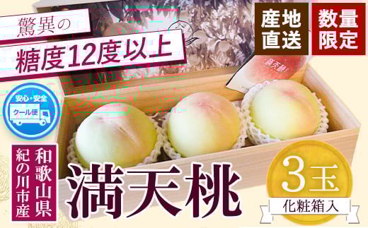 
            【先行予約】満天桃 3玉(5Lサイズ以上) 糖度12度以上 特秀品 八旗農園《2025年7月下旬-8月上旬ごろ出荷》 和歌山県 紀の川市 桃山町 もも モモ 果物 フルーツ
          