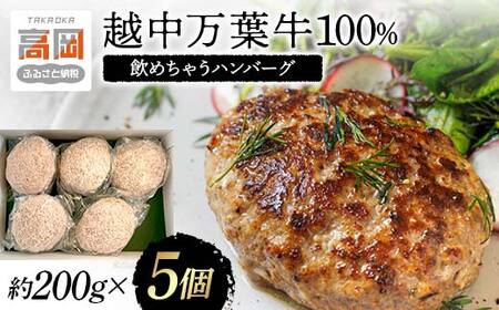 越中万葉牛100％飲めちゃうハンバーグ おすすめ 牛肉 ボリューム 冷凍 焼くだけ /天狗乃肉林本店/富山県高岡市  FAD-1358