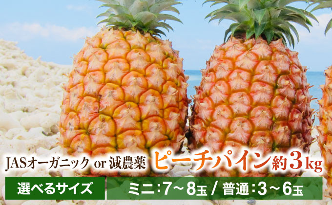 
            2025年 先行予約 パイナップル ついに実現 転換期間中 JASオーガニック ピーチパイン約3kg JASオーガニックor減農薬 ミニ7～8玉 普通3～6玉 果物 フルーツ
          