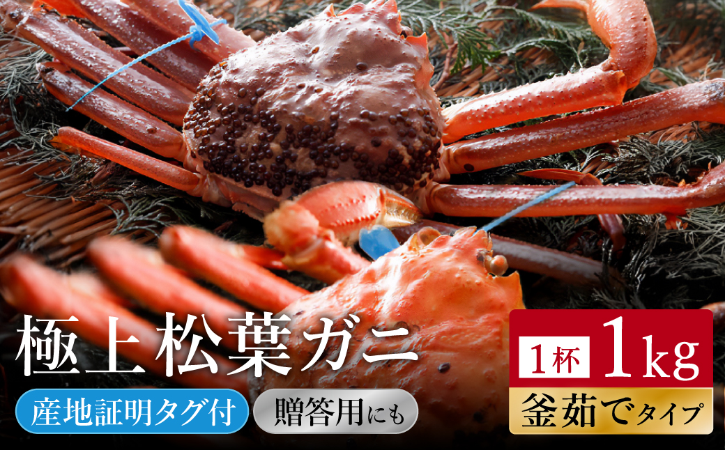 ＜予約受付中！＞【kinosaki spa&gardens　湯楽使用】タグつき 釜茹で松葉ガニ　約1㎏【11月より順次発送】