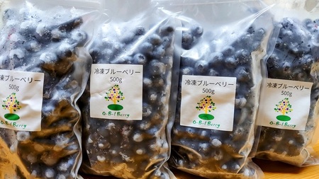 【訳あり】O-B-Iベリ―農園の冷凍ブルーベリー2kg（500g×4）