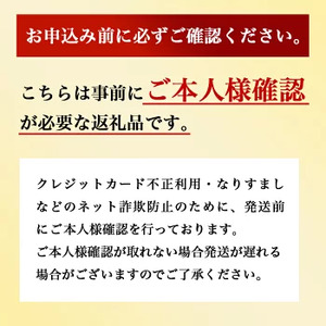 【セット】Pt950 IDタグオーダー コプラ細ネックレス 50cm/Pt850アジャスターチェーンシースルー 10cm ※沖縄・離島への配送不可
