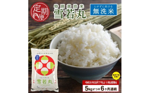【先行予約】無洗米 定期便 雪若丸 5kg×6回 計30kg 令和8年産 10月下旬発送開始 特別栽培米 米 白米 お米 おこめ こめ コメ ご飯 おにぎり 弁当 おいしい 農家直送 山形産 山形県産 庄内産 加藤農園 山形 酒田 SH0064