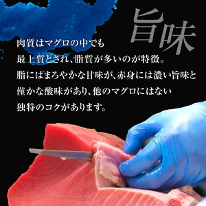 【定期便/計3回】本マグロ中トロ赤身セット320g（計960g）【DG013-t3】
