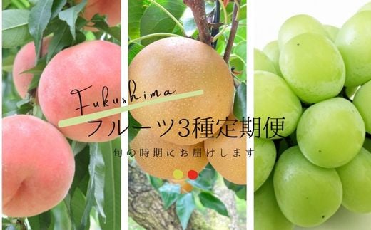 
No.2528フルーツ３種定期便　【2025年発送　先行予約】
