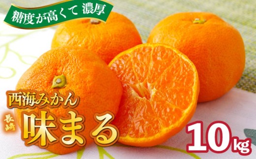【 早期受付 】 【 11月発送 】 西海みかん ｢ 味まる ｣ 10kg 産地直送 ブランドみかん 糖度 12度以上 新鮮 家庭用 温州みかん 佐世保みかん フルーツ 柑橘 オレンジ デザート ジュース ゼリー にも最適 JA西海 長崎県 佐世保市