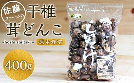 原木栽培 干椎茸 300g クヌギ原木 干し椎茸 しいたけ 椎茸 九重町産 健康食品