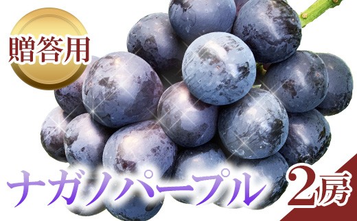
            J0934 【贈答用】長野市産 ナガノパープル 2房【2025年9月上旬頃発送予定】
          