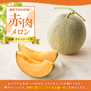 【先行予約】 令和8年産 赤肉メロン ( クインシー719 ) 1玉 2kg以上 2026年7月中旬～8月中旬頃お届け予定
