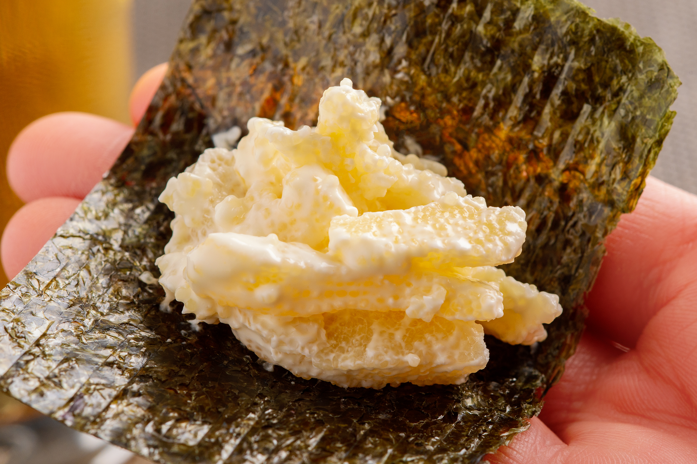 【定期便全６回】チーズ数の子２００ｇ【寄附翌月から発送 ６ヶ月コースでお届け】　計１２００ｇ HOKAG037