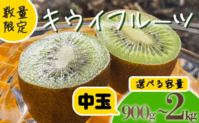 
            【先行予約】【1月上旬~順次発送】キウイ フルーツ 無農薬 グリーンキウイ 腸活 健康 甘い 手でむける キウイフルーツ みつばちキウイ 中玉 900g~2kg 栽培期間中農薬・化学肥料不使用 デザート 果物 くだもの 国産 愛知県 南知多町 【配送不可地域：北海道 青森 秋田 岩手 沖縄 離島】
          