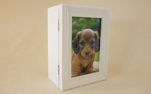 プリザーブドフラワー　フラワーフォトボックス（ピンク）【14000501】