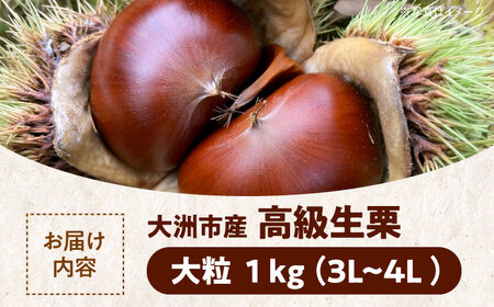 【先行予約】【9月中旬から順次発送】くり あじさい農園の高級生栗（1kg）国産甘栗 甘栗 生栗 くり 和栗 愛媛県大洲市/あじさい農園 [AGAE007] 国産甘栗 甘栗 生栗 くり 和栗 あまぐり 