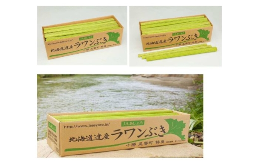 【R9年度分先行予約】北海道足寄町産 生ラワンぶき 10kg【R9年6月上旬以降発送】《足寄町》【足寄町農業協同組合】ふき フキ ラワンブキ 螺湾ぶき 山菜 採れたて 新鮮 水煮 煮物 おでん ギフト 足寄町産 北海道産 道産 国産 足寄町 北海道 29000 29000円 [BEAB013]