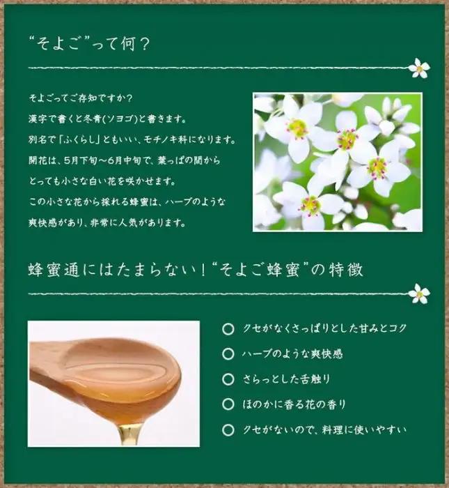 【全12回】 定期便 かの蜂 国産 そよご蜂蜜 合計12kg（とんがり容器1kgを毎月1本お届け） はちみつ ハチミツ 024-T015
