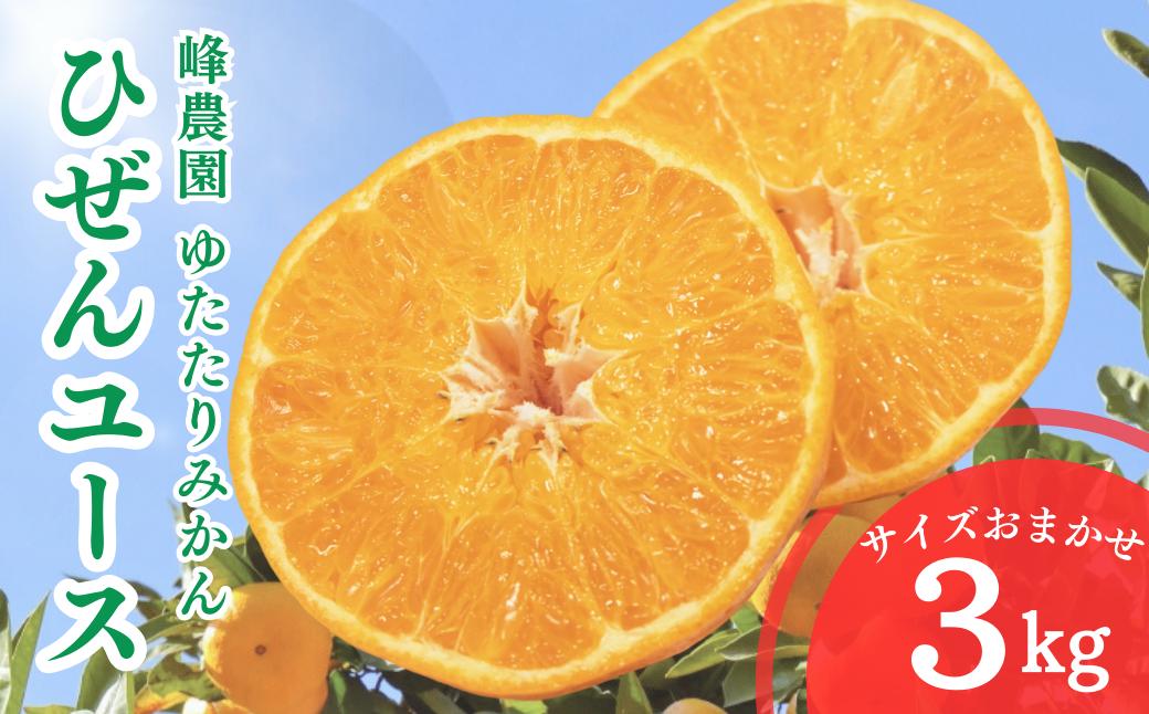 
                  峰農園ゆたたりみかん ひぜんユース ３kg（サイズおまかせ）　みかん 柑橘類 果物 みかん フルーツ みかん ひぜんユース みかん 佐賀果試第35号 みかん 佐賀県 太良町 OC10
                