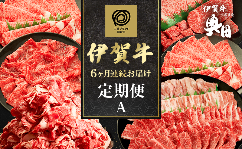伊賀牛 6ヶ月連続お届け 定期便 A [ 伊賀牛牛トロ刺し すき焼きセット 伊賀牛ステーキセット 伊賀牛切り落とし 焼肉セット5人盛り ] オクダ 牛肉 高級 和牛 肉 伊賀牛肉  伊賀 人気 自宅用 グルメ お取り寄せ 誕生日 お祝い  贅沢 三重