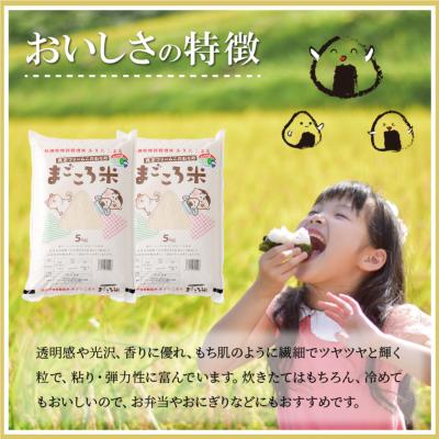 ふるさと納税 大館市 【令和7年産】秋田県特別栽培米あきたこまち「まごころ米」10kg |  | 01