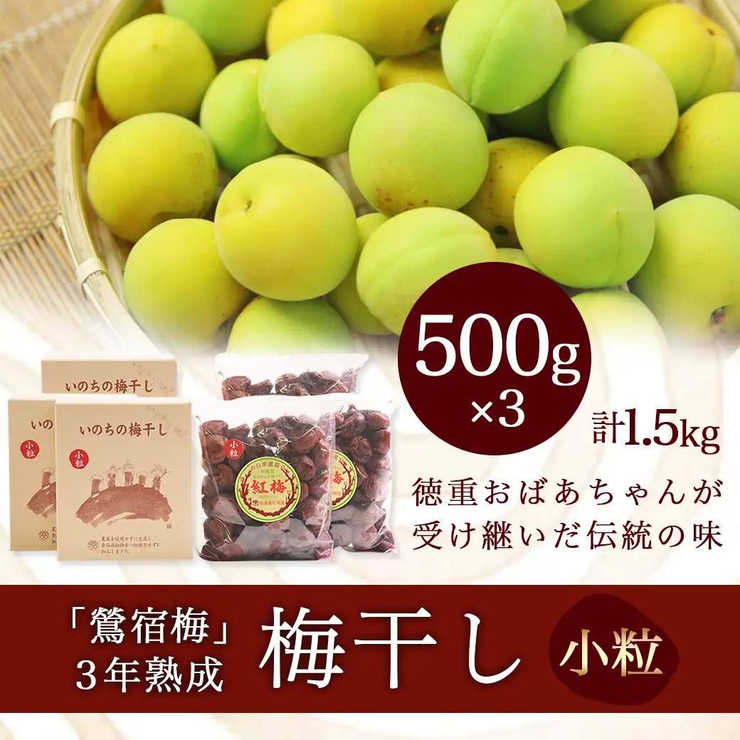 徳重おばあちゃんの3年熟成小粒梅干し1.5kg _AD-49-003-1500g_(都城市) 紅梅 いのちの梅干し 3年熟成小粒梅干(500g×3個) 塩分12％ 長期熟成 自家農園 伝統農法 お弁当