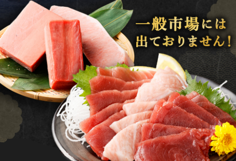厳選 天然 本マグロ セット【 大トロ 中トロ 赤身 】６００ｇ以上 本まぐろ 100% 冷凍 刺身 海鮮 丼 さく 柵 ブロック