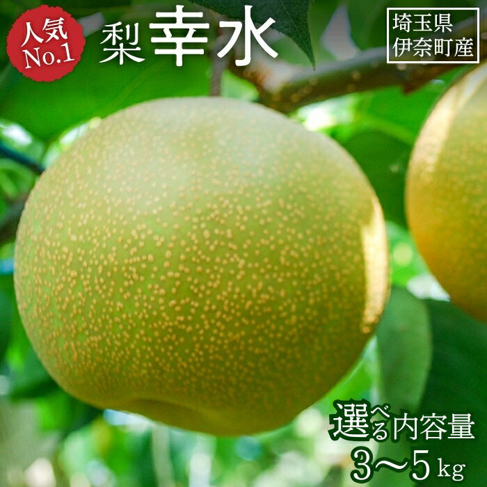 【ふるさと納税】梨『幸水』 選べる内容量 3kg 5kg 2026年産先行予約 フルーツ先行予約 フルーツ 埼玉県伊奈町産