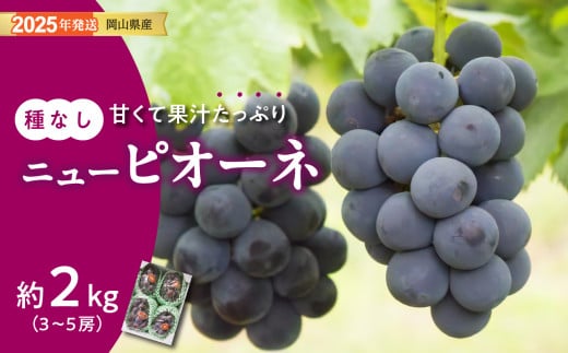 【2025年発送分 先行受付スタート】岡山県産ニューピオーネ 　秀品　約2kg（3～5房程度）（令和７年8月中旬以降発送）【 ニューピオーネ フルーツ 果物 葡萄 ぶどう 岡山県産 秀品 hzO-T 】
