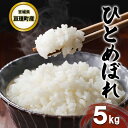 【ふるさと納税】令和5年産 宮城県亘理町産 ひとめぼれ 5kg　食味ランキング「A」　お米・ひとめぼれ　お届け：2024年11月下旬から出荷開始