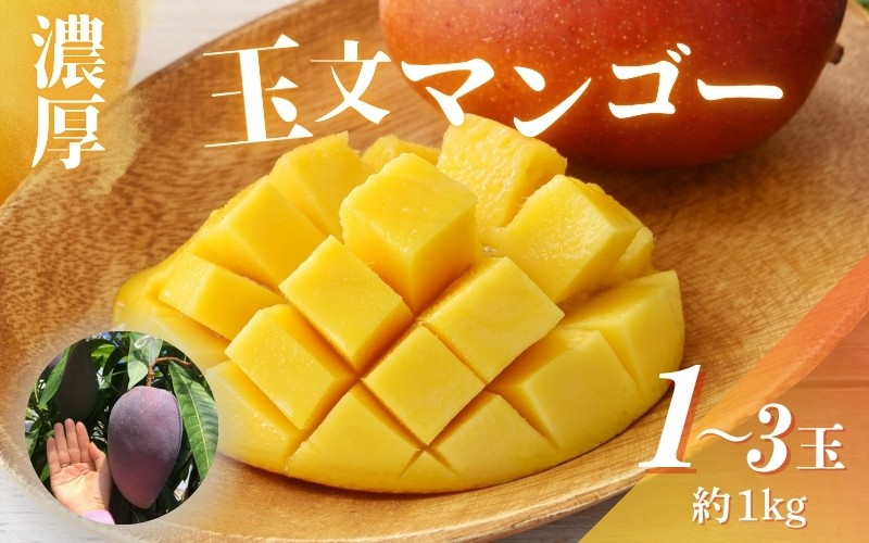 
            【希少マンゴー】濃厚玉文マンゴー　約1kg(1～3玉)【ard040A】
          