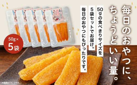 《4月から8月までの期間限定》安納干芋【有限会社ANNOU】