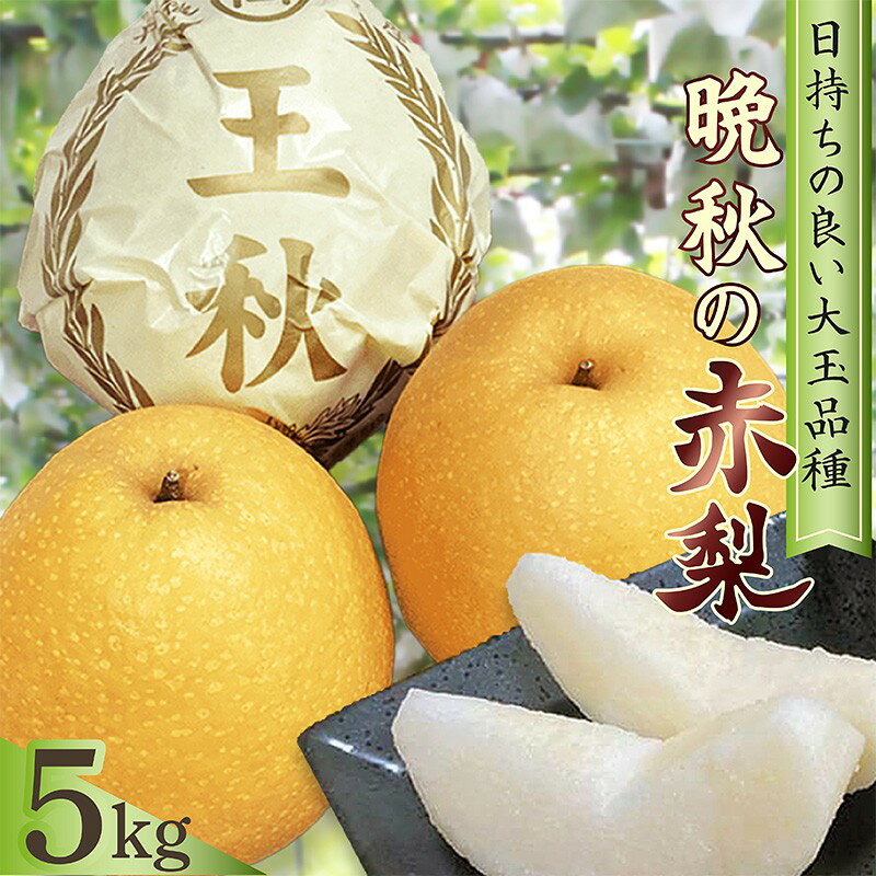 【ふるさと納税】梨 王秋 約5kg（7～11玉入り）フルーツ くだもの デザート 国産 王秋 赤梨 京都 ふるさと 納税 梨 果物 先行予約 期間限定 ふるさと納税 フルーツ ふるさと納税 なし ふるさと納税 梨 なし ナシ 生産者応援 農家応援 送料無料