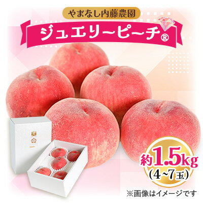 【ふるさと納税】桃 1.5kg 4～7玉 やまなし内藤農園 ジュエリーピーチ (R) 白桃_ ふるさと納税 ふるさと 桃 もも モモ ピーチ フルーツ 果物 くだもの 人気 美味しい 山梨県 山梨市 山梨 送料無料【配送不可地域：離島・沖縄県】【1045097】