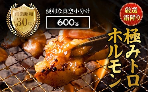 霜降り 極みトロホルモン 600g 秘伝のタレ付き | 国産 極トロホルモン 霜降り ホルモン 冷凍 真空パック 家庭用 ホルモンうどん　八島丹山 京都 舞鶴