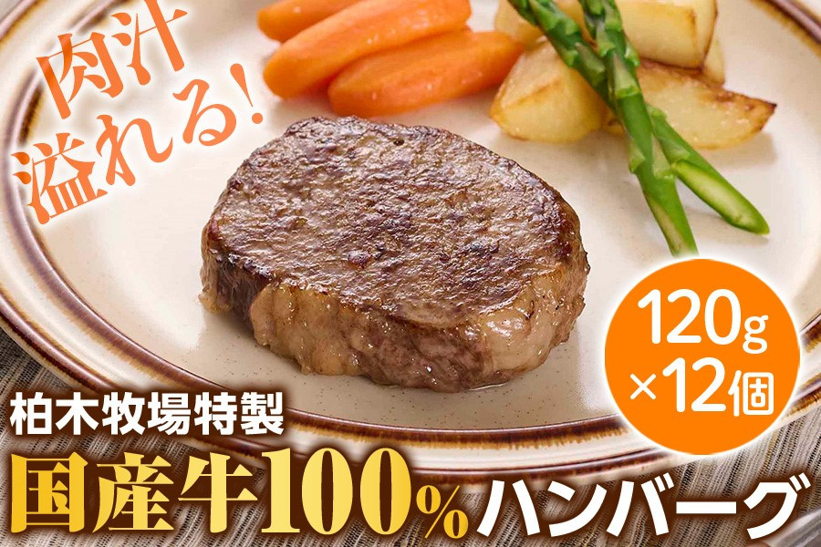 
[ジュワッと肉汁まで美味い！] 柏木牧場特製 国産牛100%ハンバーグ (120g×12個) [0067] 伊勢原市 牛肉 特製 ギフト 神奈川県 贈り物 人気 お土産 正月 肉の日 バーベキュー パーティ 冷凍便 惣菜 肉 焼くだけ
