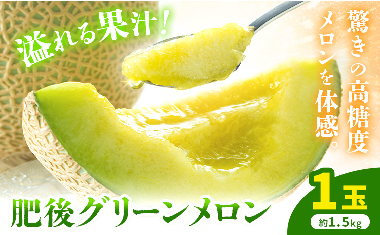 【先行予約】肥後グリーンメロン 1玉 約1.5kg 日本フルーツ株式会社《5月上旬-7月下旬頃出荷》熊本県 菊池市 メロン 熊本県産---308-5023---