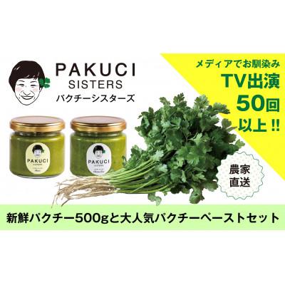 ふるさと納税 八千代市 『PAKUCI SISTERS』のパクチーお楽しみセット