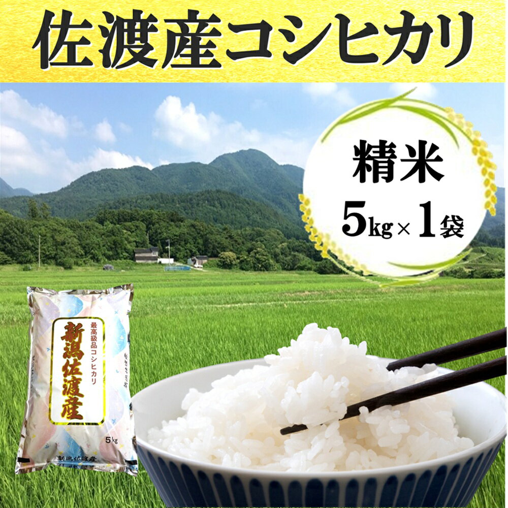 【ふるさと納税】米 コシヒカリ 新潟 5kg 精米 白米 佐渡産 高千産 げんげん栽培 減農薬 減化学肥料 海岸棚田 こしひかり 新潟県産 5キロ こめ コメ ブランド米 おすすめ お取り寄せ ごはん おにぎり お弁当 新潟県 佐渡市