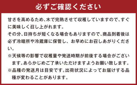 037-1054x1 【先行予約】【3回定期便】 3種の梨 食べ比べ 定期便 約5kg×3回 合計 約15kg【2025年9月上旬～2025年12月上旬発送予定】