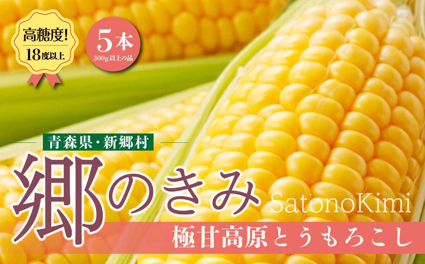 
            ＜先行予約＞2026年8月上旬〜出荷　【三つ星フレンチの食材に選ばれたとうもろこし】「郷のきみ」5本【期間限定・数量限定】
          
