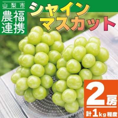 ＜先行受付＞山梨市産農福連携シャインマスカット2房(2房合計1kg程度) ふるさと納税