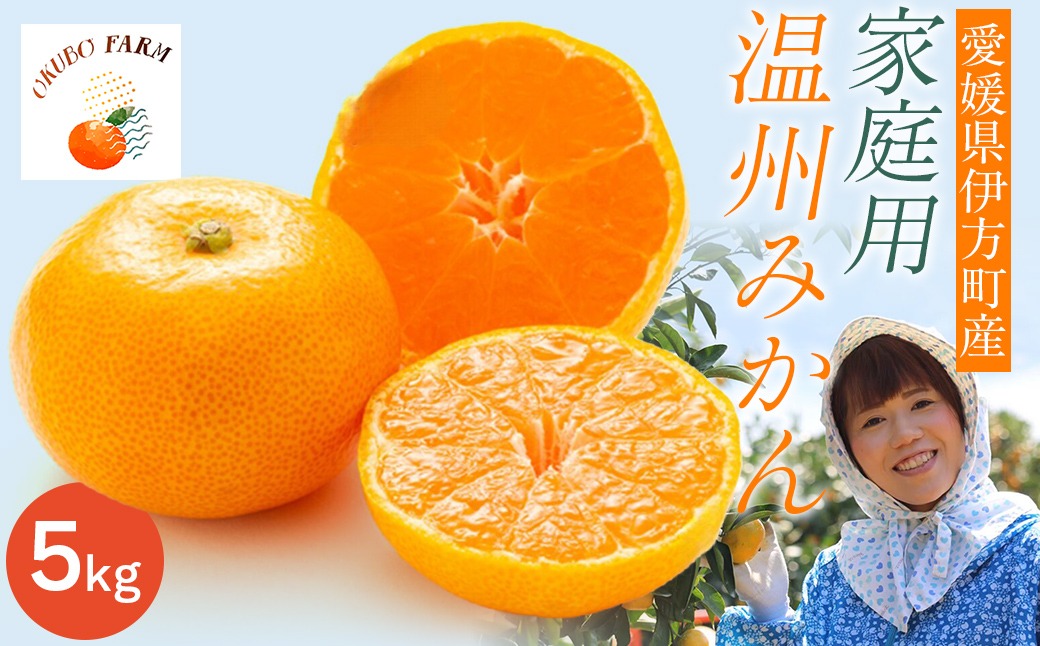【先行予約】【家庭用】温州みかん 5kg ※北海道・沖縄・離島への配送不可 （2025年12月1日より順次発送予定） IKTAT003 