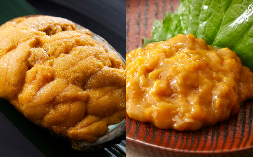 広田湾漁協からお届け！焼きウニ塩ウニの食べ比べセット 【 ミョウバン不使用 ウニ 雲丹 天然 濃厚 人気 魚介類 海産物 海の幸 三陸産 】
