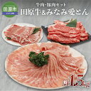 【ふるさと納税】田原牛 みなみ愛とん 牛肉豚肉セット 牛肉 ビーフ 豚肉 ポーク ロース 肩ロース お取り寄せ 食べ比べ 牛 豚 特産 ご当地 グルメ おうち時間 国産 霜降り ふるさと納税 肉 冷凍 贅沢 和食 洋食 祝 田原市 送料無料