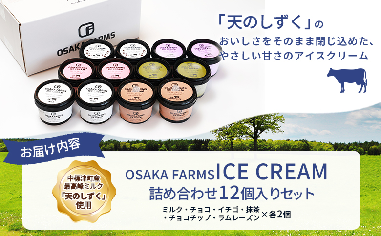 OSAKA FARMS ICE CREAM 詰め合わせ12個入りセット（ミルク・チョコ・イチゴ・抹茶・チョコチップ・ラムレーズン）6種×各2個 | ふるさと納税 北海道 中標津 詰め合わせ アイス ミ