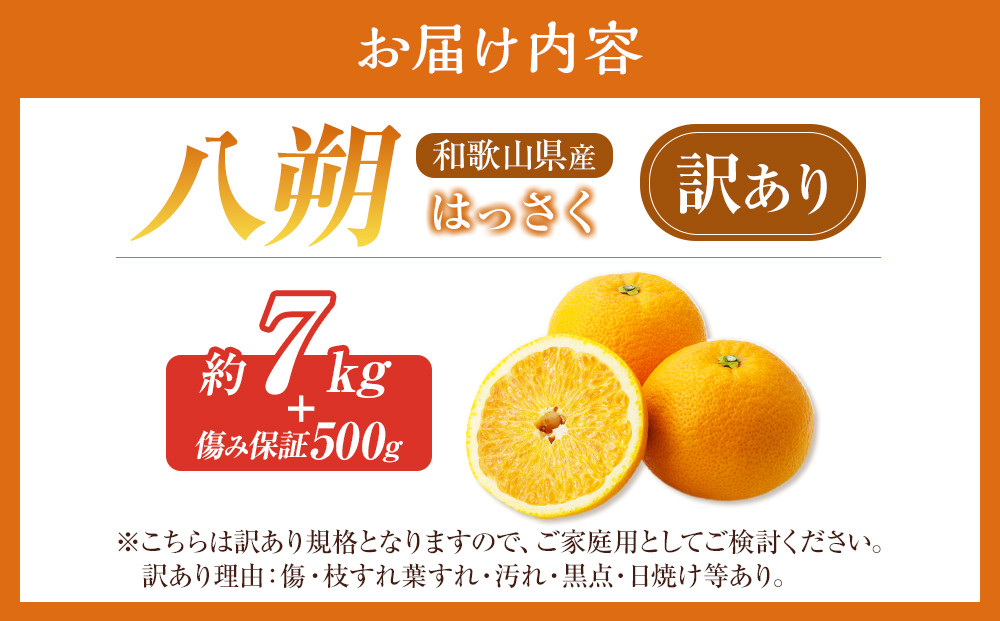 訳あり八朔 約 8kg（箱込み）和歌山県産